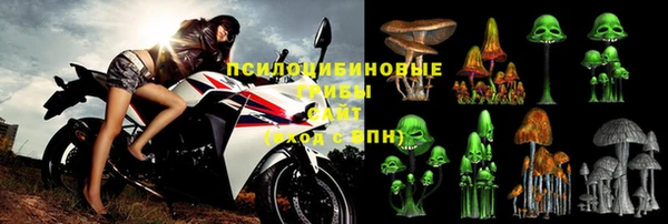 PSILOCYBIN Вязники