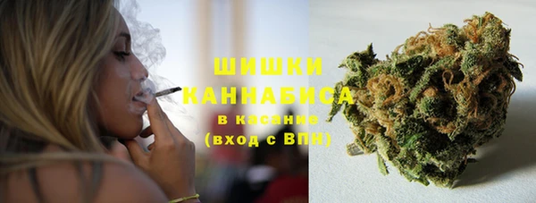 ГАЛЛЮЦИНОГЕННЫЕ ГРИБЫ Вязьма