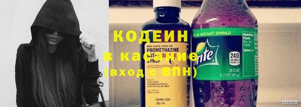 ГАЛЛЮЦИНОГЕННЫЕ ГРИБЫ Вязьма