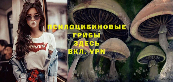 PSILOCYBIN Вязники