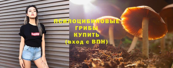 PSILOCYBIN Вязники