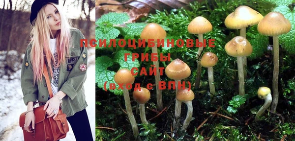 PSILOCYBIN Вязники