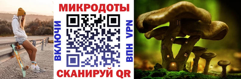 Псилоцибиновые грибы Cubensis  Купить закладки  Киренск 